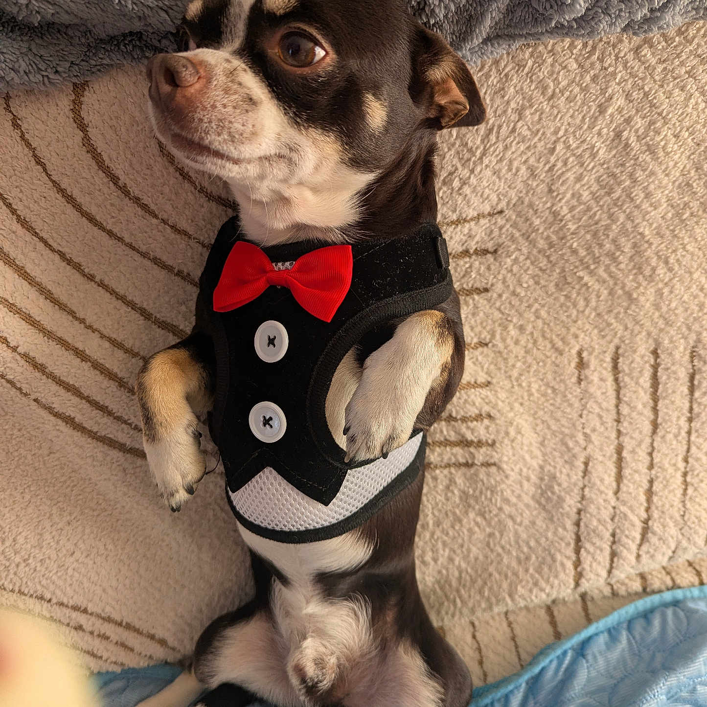 Milo