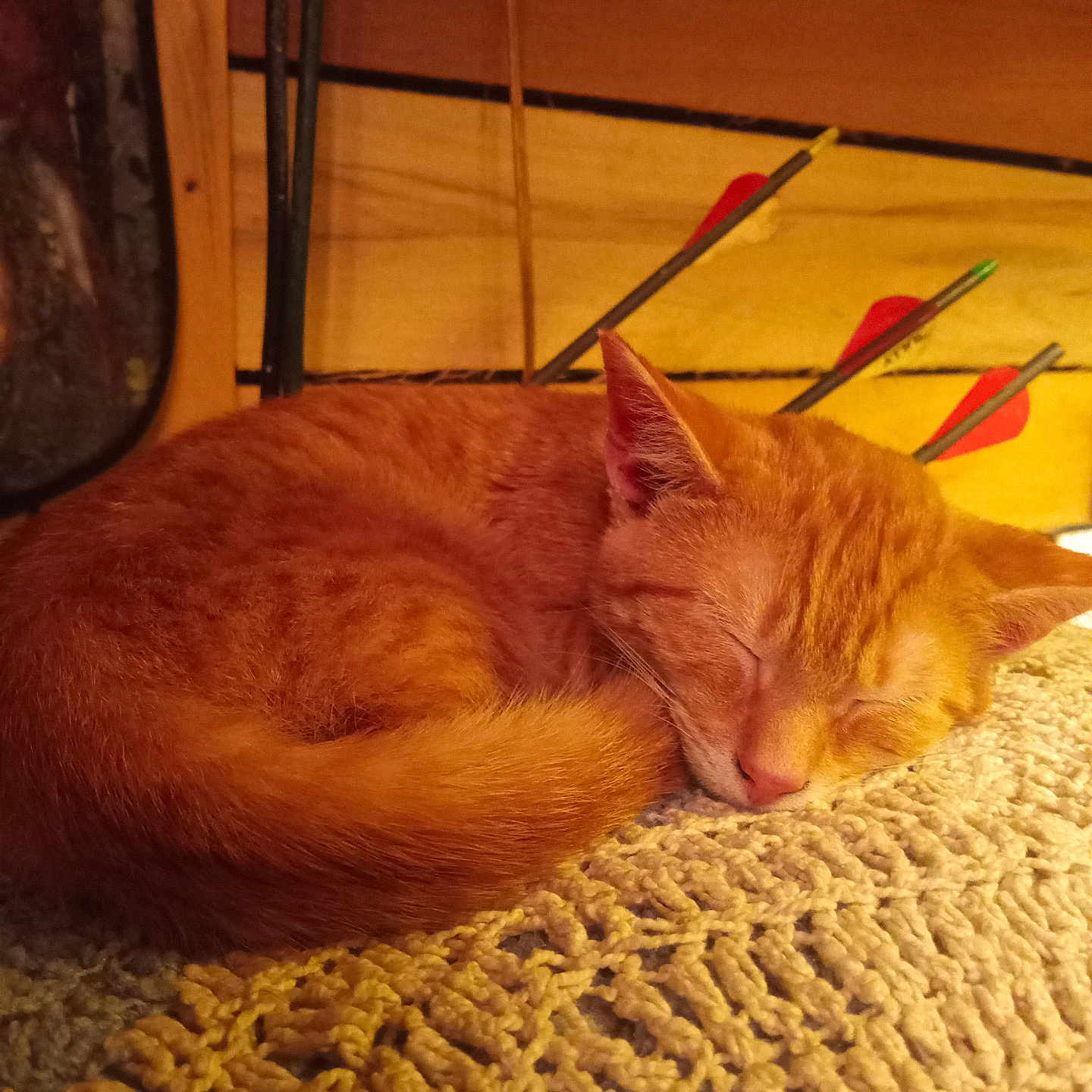 Orangey