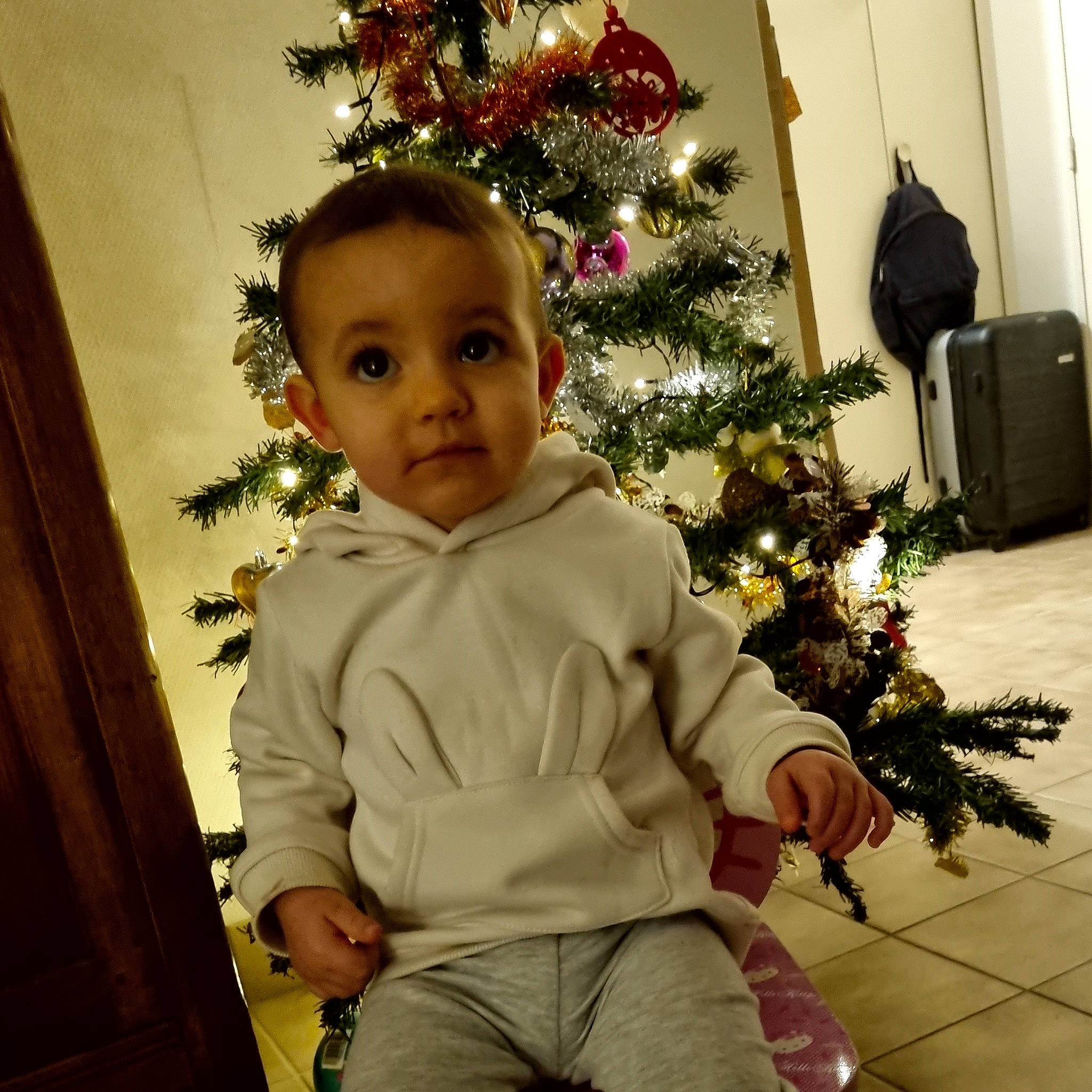 Camélia a rejoint le concours — aidez-le/la à gagner de superbes lots ! baby, baby_toddler_clothing, christmas, christmas_decoration, christmas_eve, christmas_ornament, christmas_tree, event, happy, head, holiday, holiday_ornament, luggage_and_bags, ornament, people, person, plant, sleeve, standing, toddler