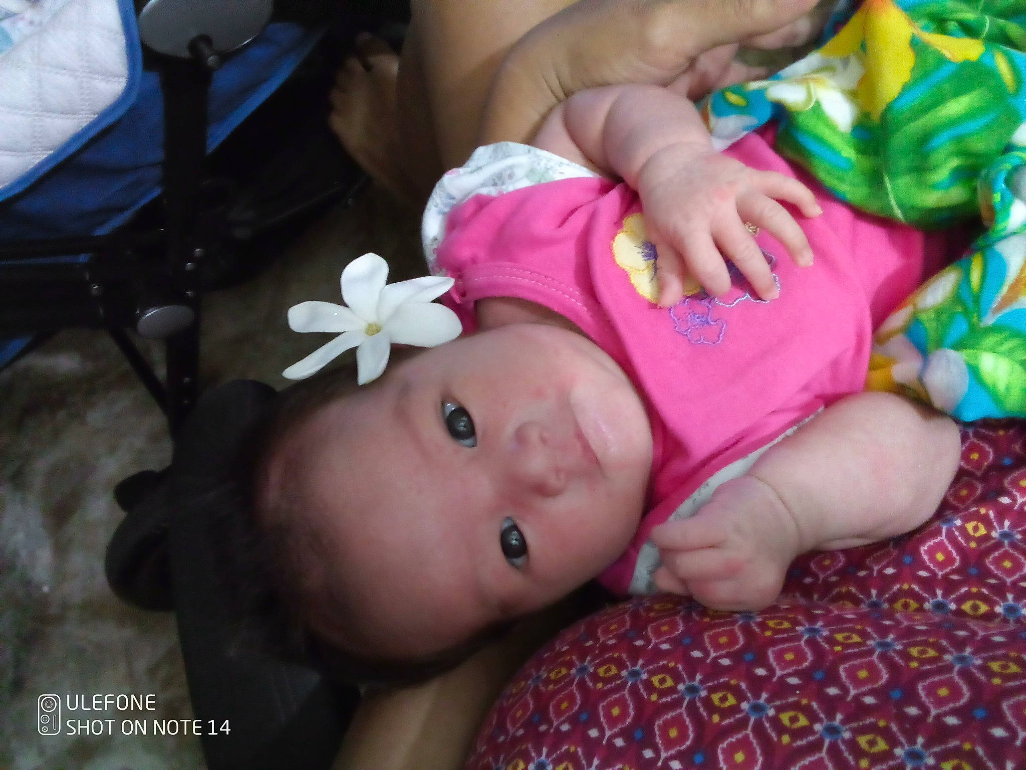 Vaianuanua a rejoint le concours — aidez-le/la à gagner de superbes lots ! baby, baby_products, baby_toddler_clothing, chair, cheek, child, eyelash, finger, flower, fun, grass, hand, happy, nail, pattern, person, pink, portrait_photography, skin, thumb