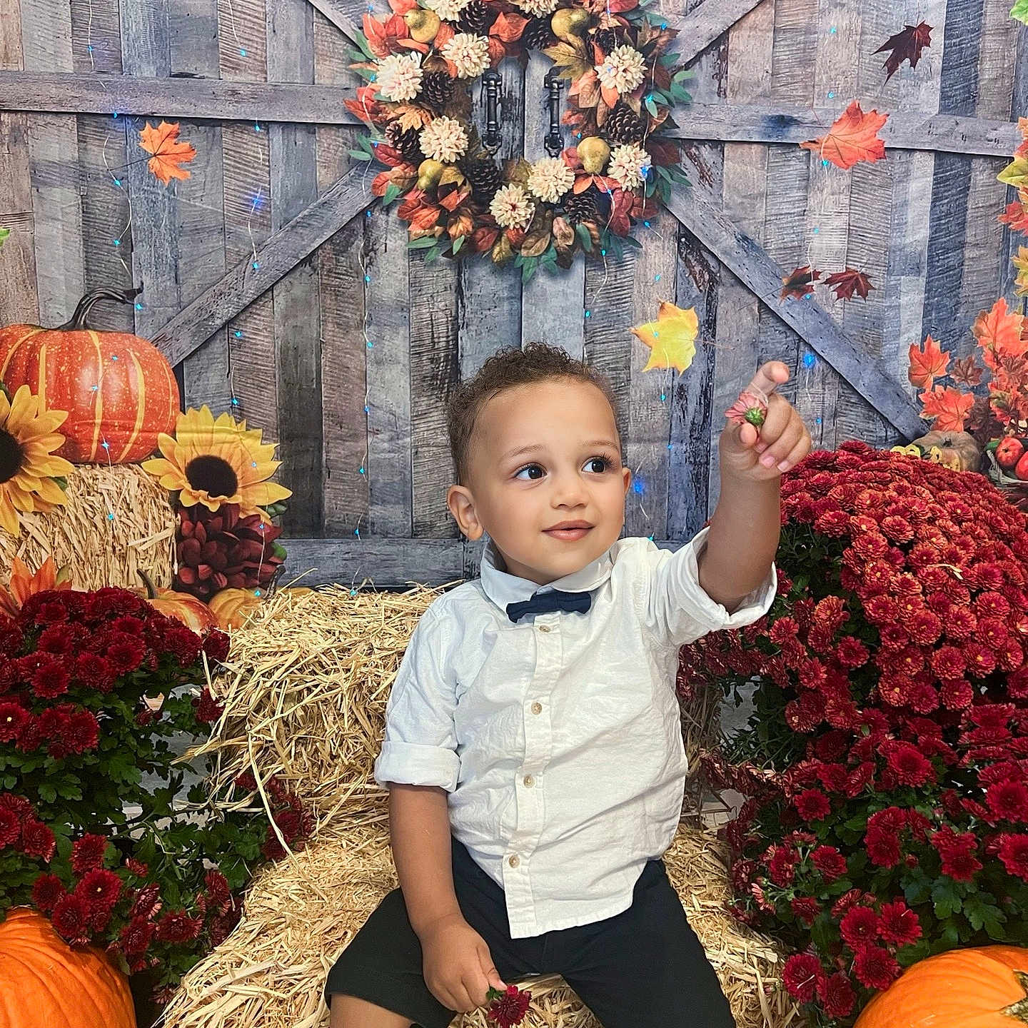 Adam joined the competition — help win amazing prizes! autumn, barn_door, black_shorts, child, cute, fall_decor, flowers, hay_bale, outdoor, pointing, portrait, pumpkin, red_chrysanthemums, seasonal, smiling, sneakers, sunflowers, toddler, white_shirt, wreath