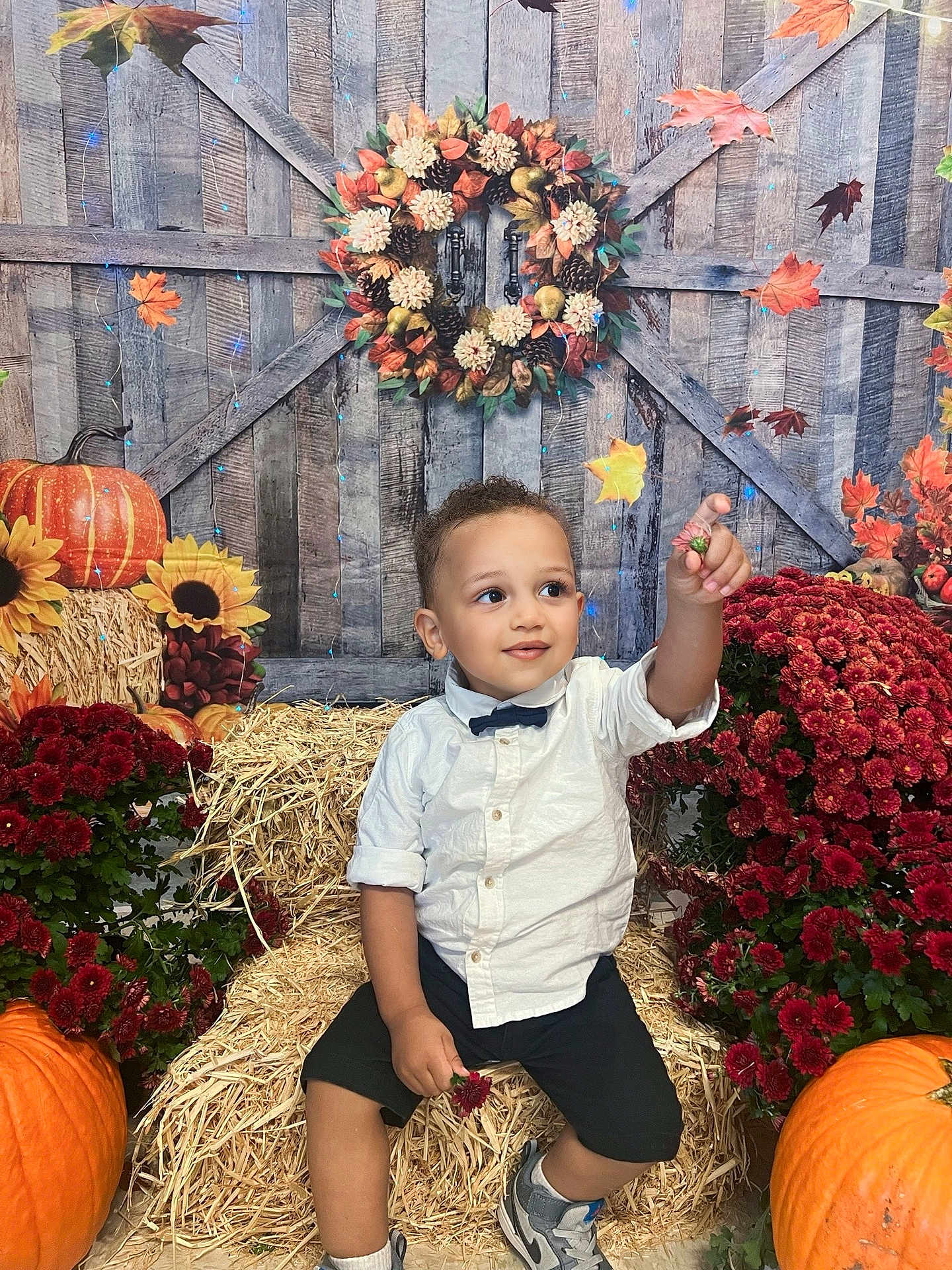 Adam joined the competition — help win amazing prizes! autumn, barn_door, black_shorts, child, cute, fall_decor, flowers, hay_bale, outdoor, pointing, portrait, pumpkin, red_chrysanthemums, seasonal, smiling, sneakers, sunflowers, toddler, white_shirt, wreath