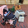 Presley joined the competition — help win amazing prizes! baby, blanket, brick, coat, daytime, hat, outdoor, person, poems, public, sidewalk, sign, sleeping, street, stroller, table, typewriter, urban, woman, writing