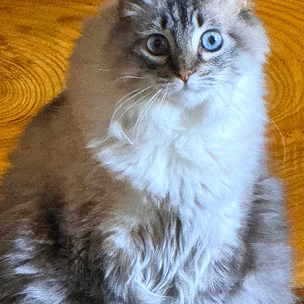 Lilly