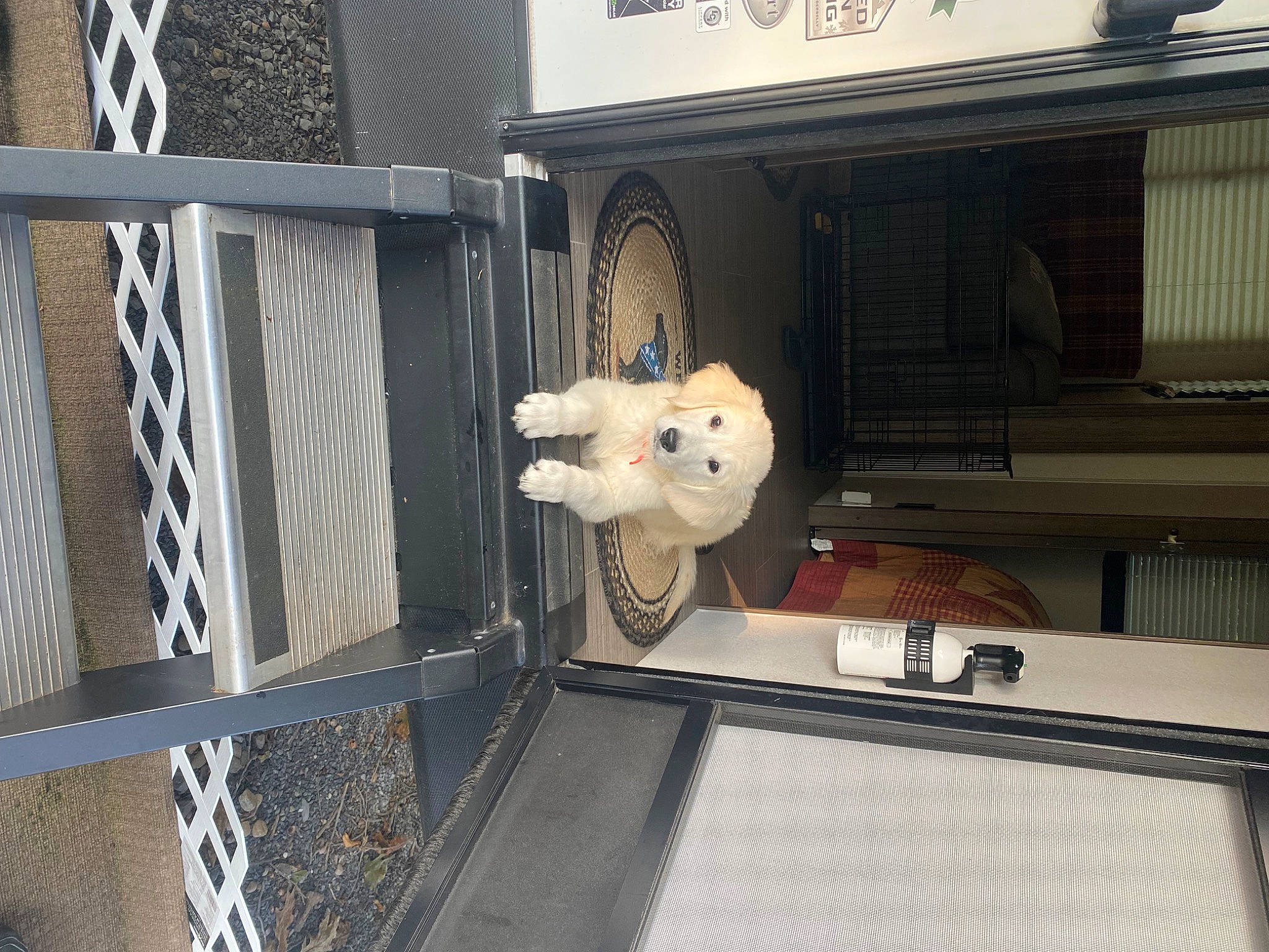 Remi is registered to the contest to win money with this photo: art, auto_part, automotive_exterior, building, metal, room, stuffed_toy, teddy_bear, toy, vehicle, window, wood