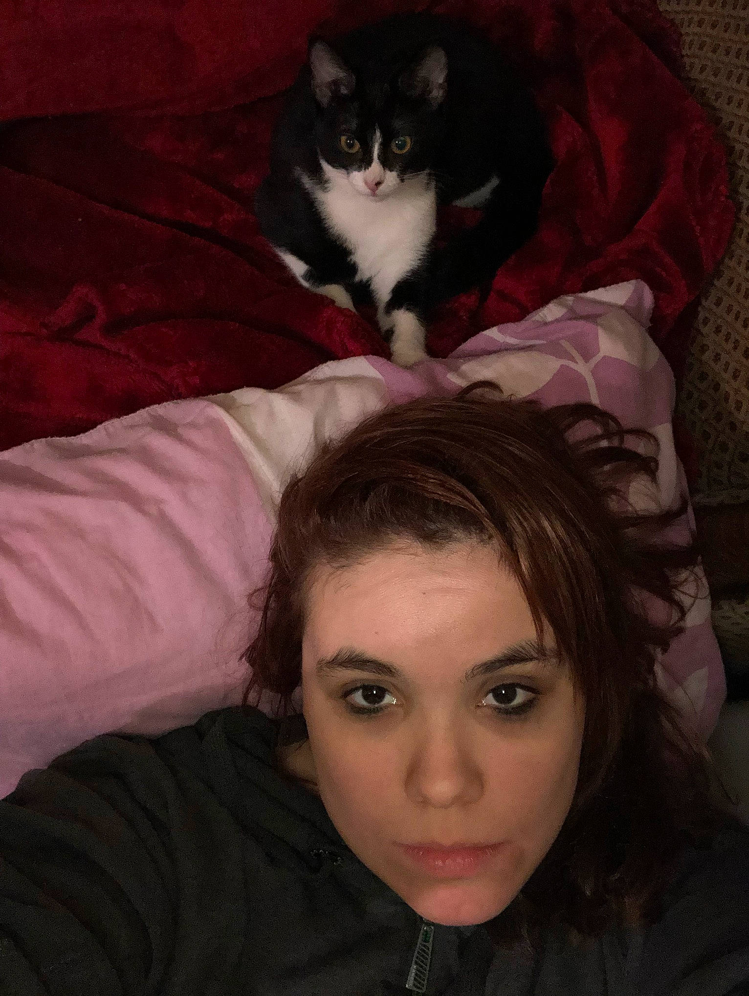 Minnie participe au concours pour gagner de l'argent avec cette photo : black, black_hair, carnivore, cat, comfort, eyelash, felidae, flash_photography, gesture, human_leg, iris, leg, lip, long_hair, mouth, organ, small_to_medium_sized_cats, tail, whiskers, white