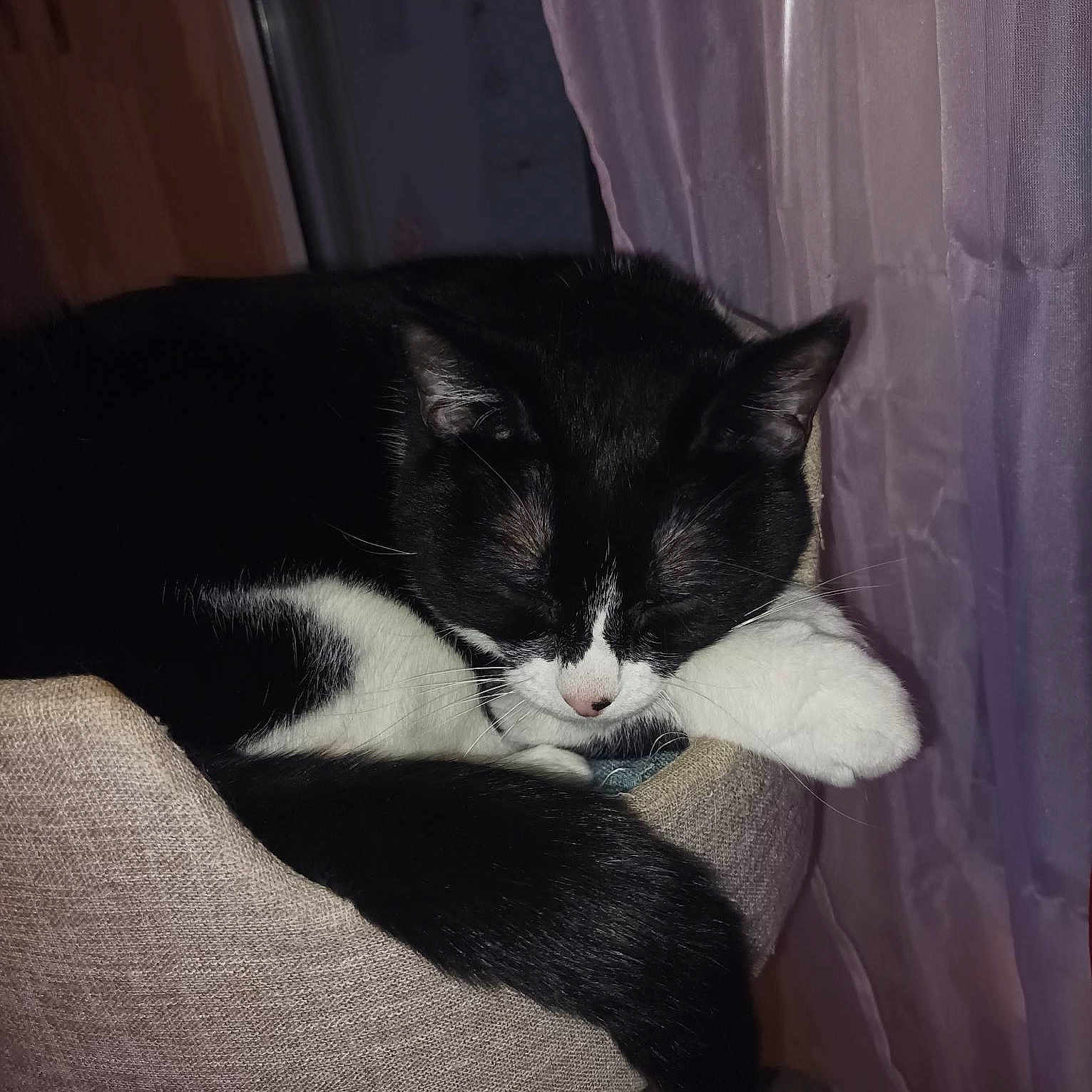 Minnie