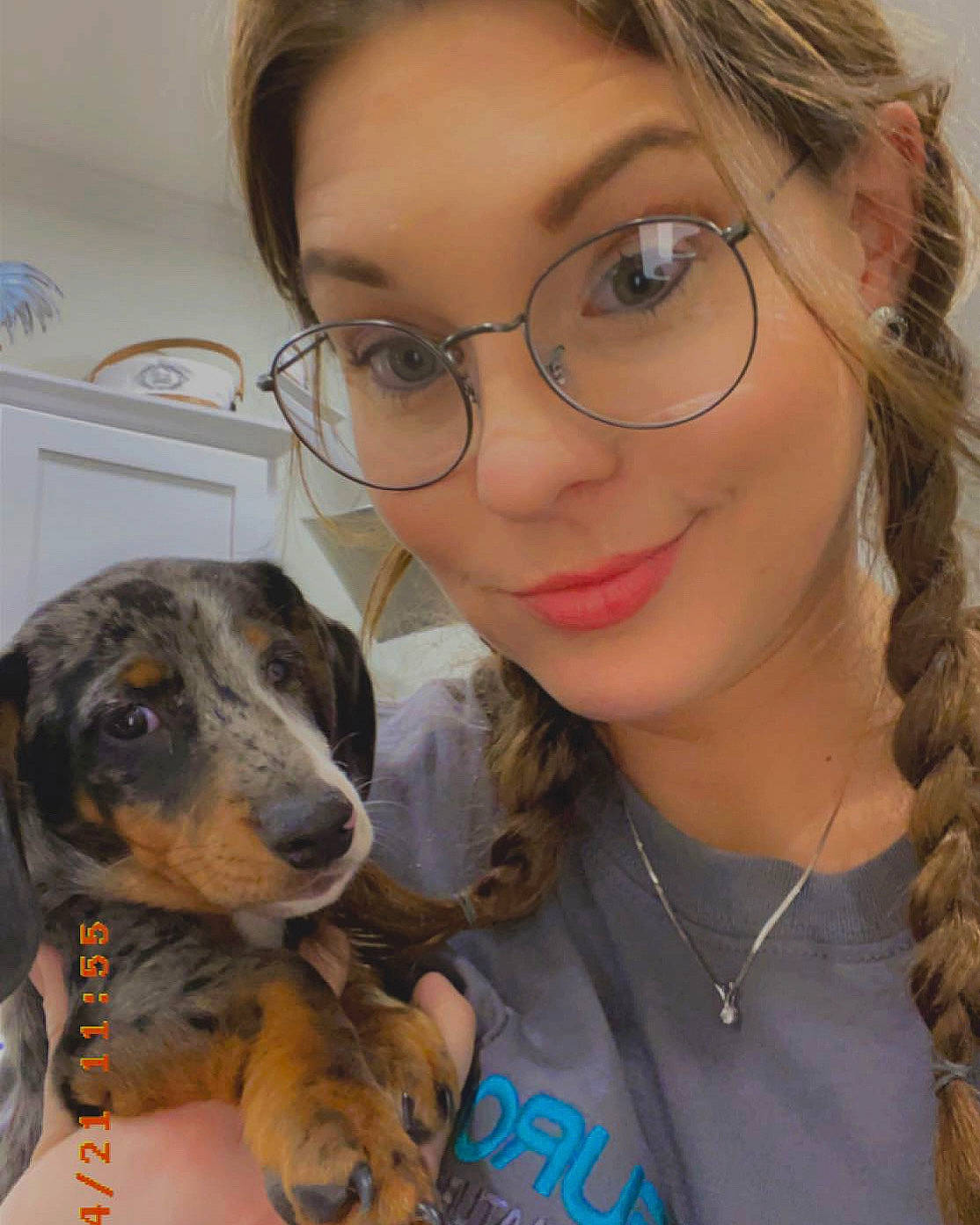 Roxie is registered to the contest to win money with this photo: carnivore, companion_dog, dog, dog_breed, ear, eye, eyelash, eyewear, fawn, glasses, hair, happy, iris, jaw, lip, nose, skin, smile, vision_care, whiskers