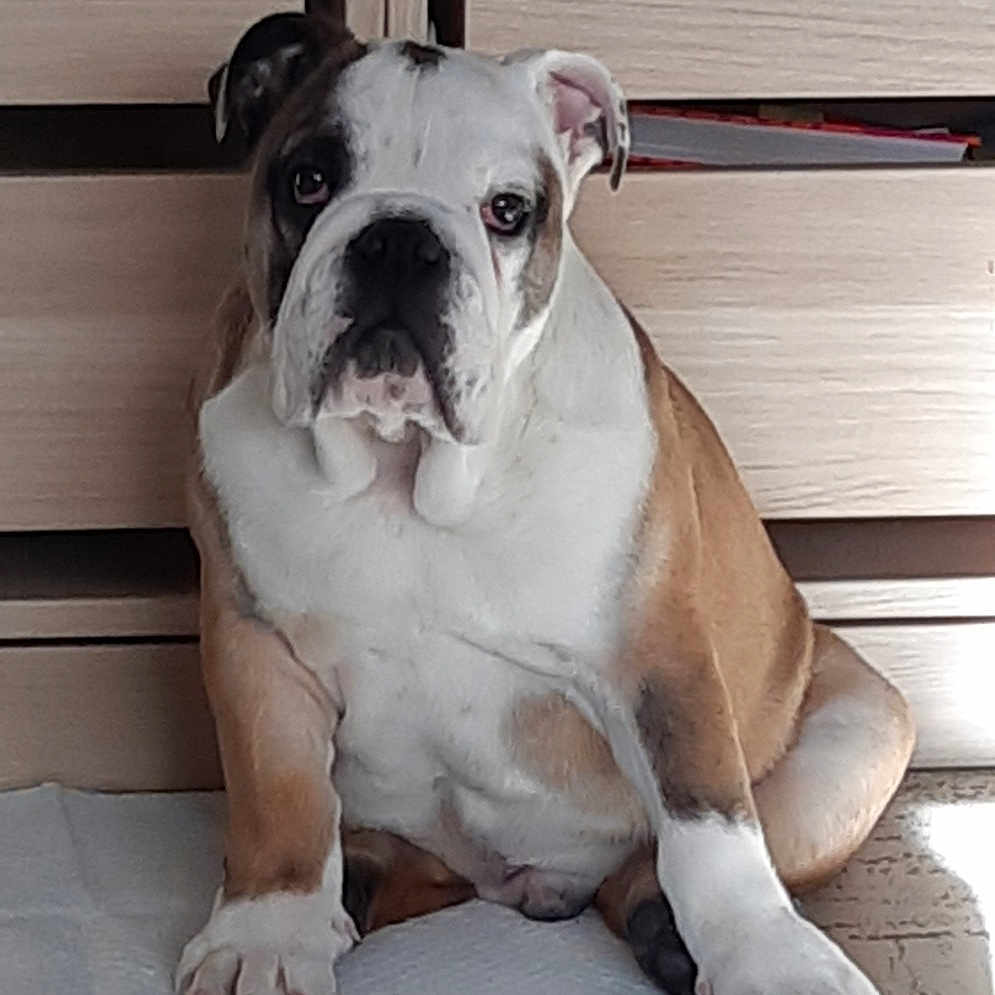 Tyson