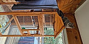Peluche a rejoint le concours — aidez-le/la à gagner de superbes lots ! beam, building, ceiling, composite_material, daylighting, facade, flooring, hardwood, house, molding, roof, room, sash_window, shade, symmetry, tints_and_shades, tree, window, wood, wood_stain