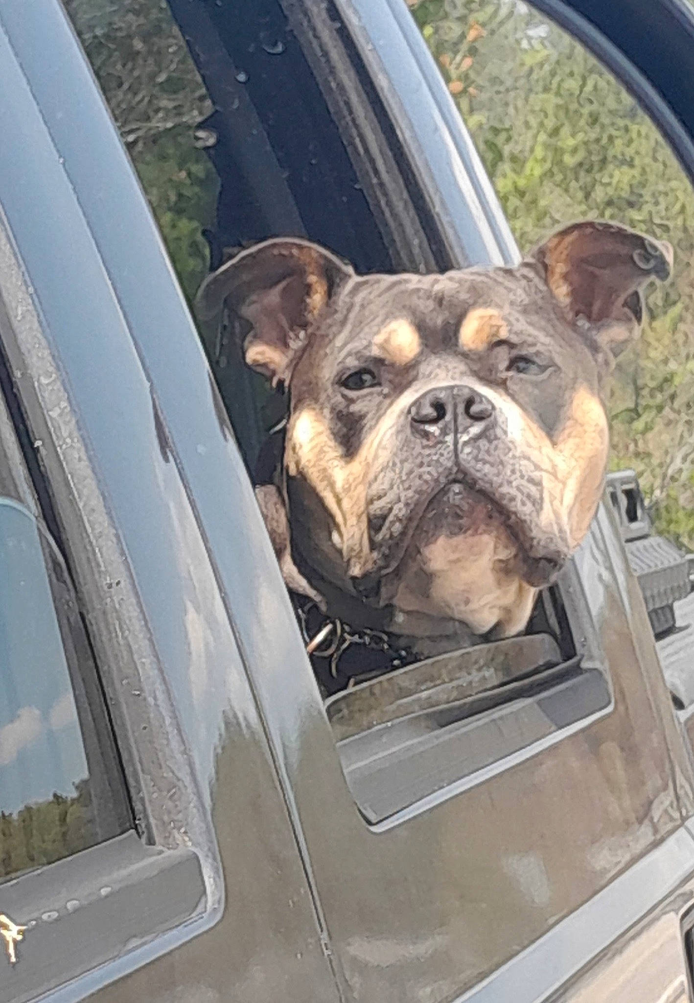 Hercules