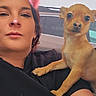 Oliver joined the competition — help win amazing prizes! animal, car_interior, casual, companion, cute, dog, face, filter, human, indoors, paw, person, pet, pink_ears, portrait, resting, selfie, small_dog, vehicle, window