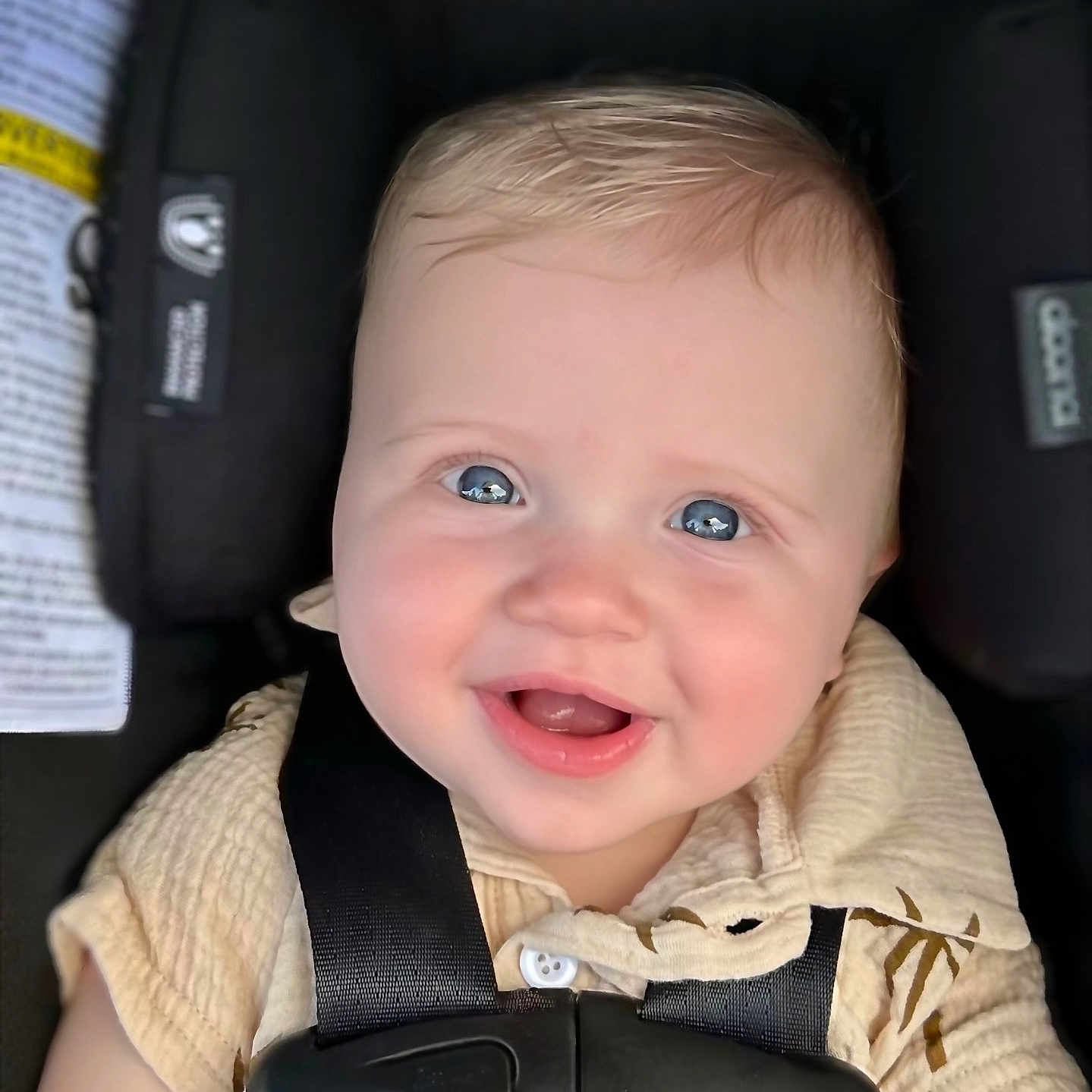 Ledger joined the competition — help win amazing prizes! baby, blue_eyes, car_seat, child, close_up, clothing, cute, face, happiness, happy, indoor, infancy, infant, person, portrait, safety_harness, seatbelt, skin, smiling, young_child
