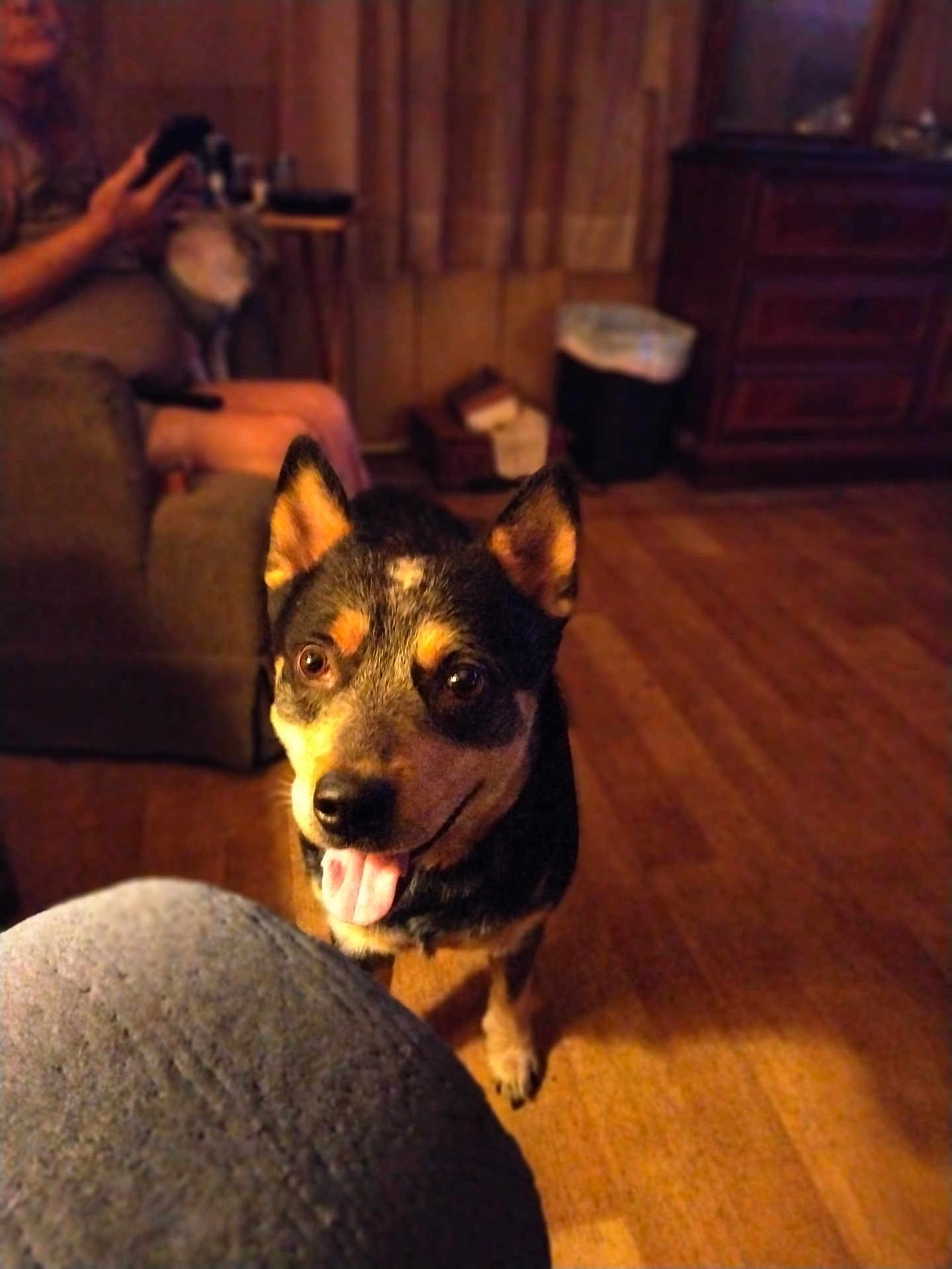 Max