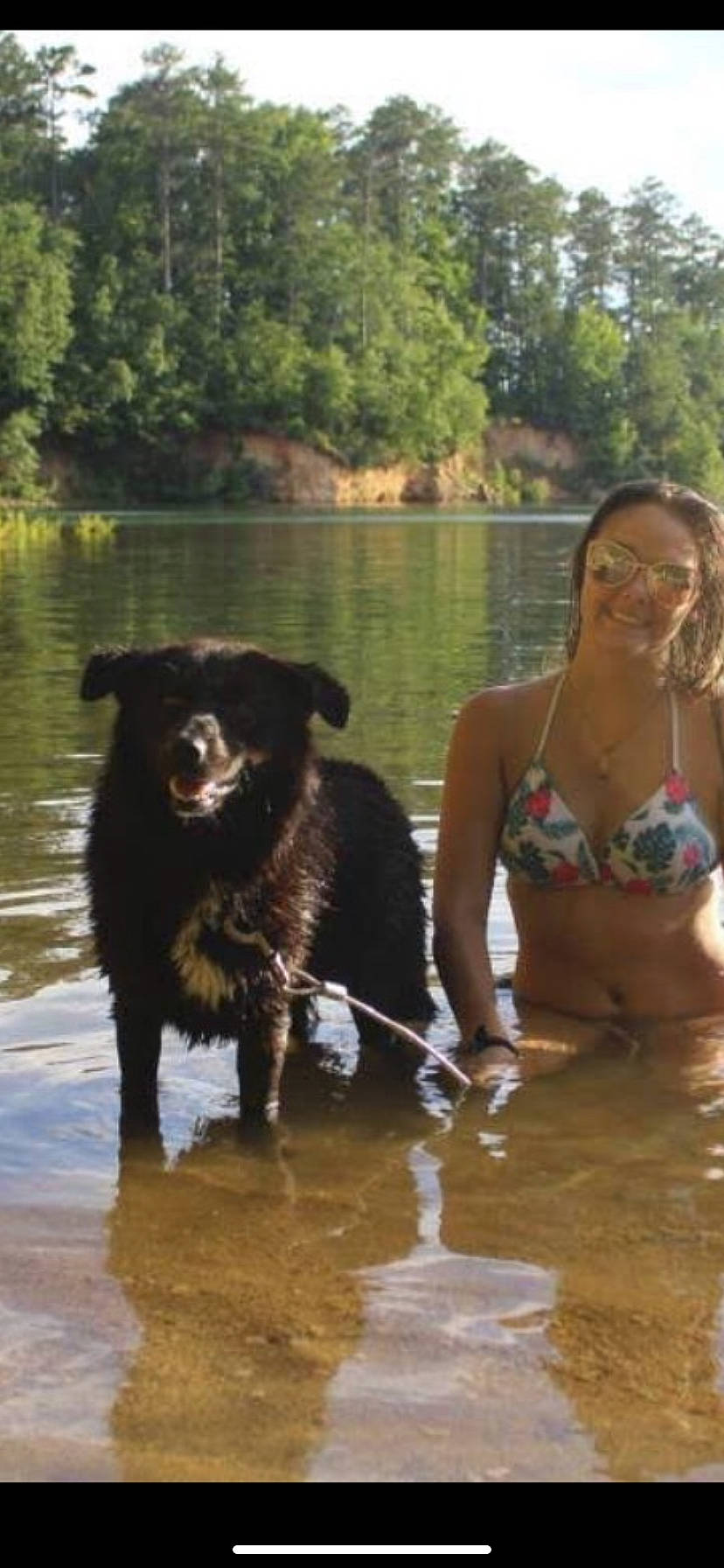 Shadow joined the competition — help win amazing prizes! bank, bikini, brassiere, carnivore, chest, dog, dog_breed, glasses, lingerie, mammal, sporting_group, summer, swimsuit_top, swimwear, undergarment, vacation, water, water_resources, watercourse, working_animal