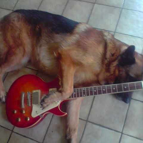 Balko