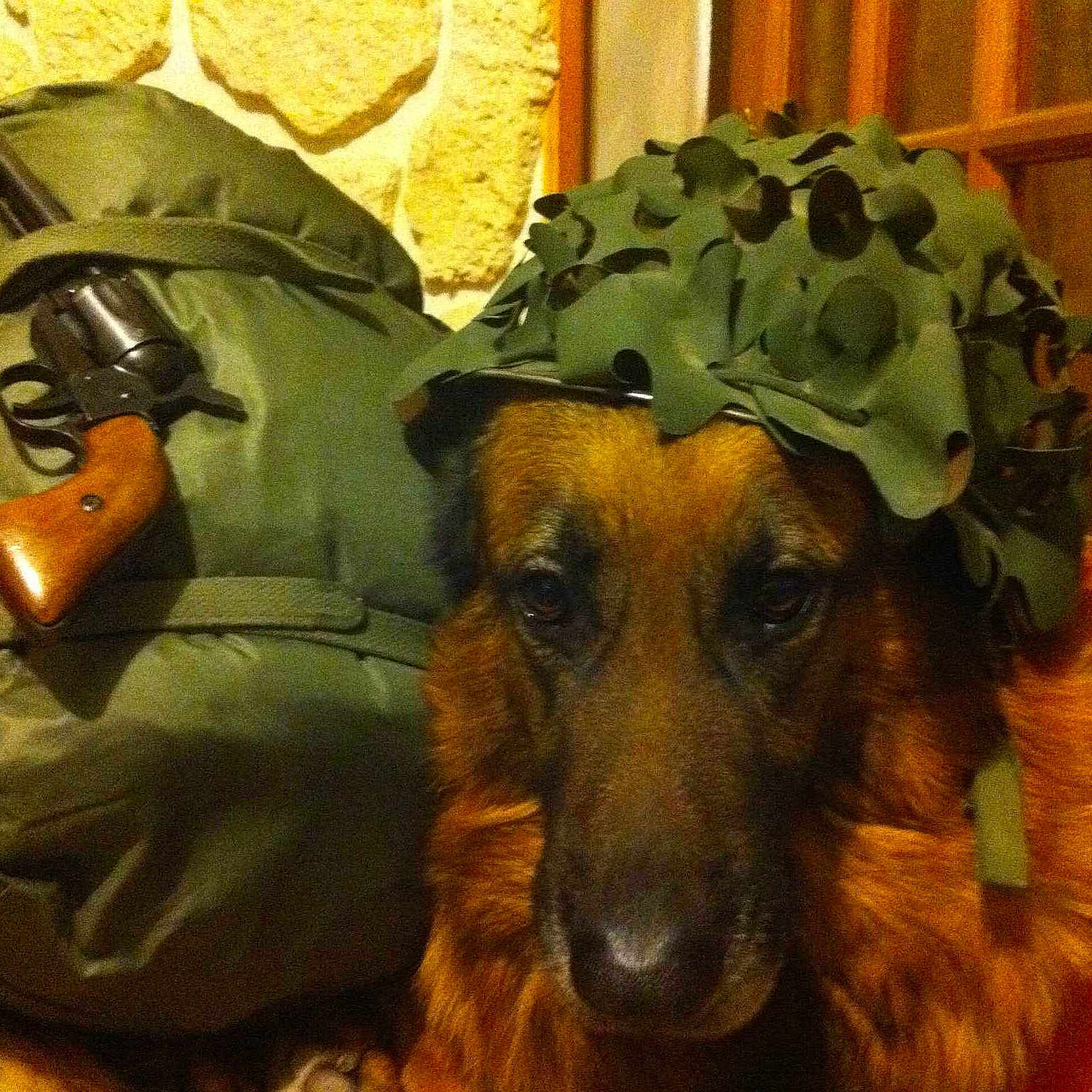 Balko