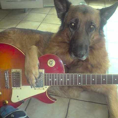 Balko