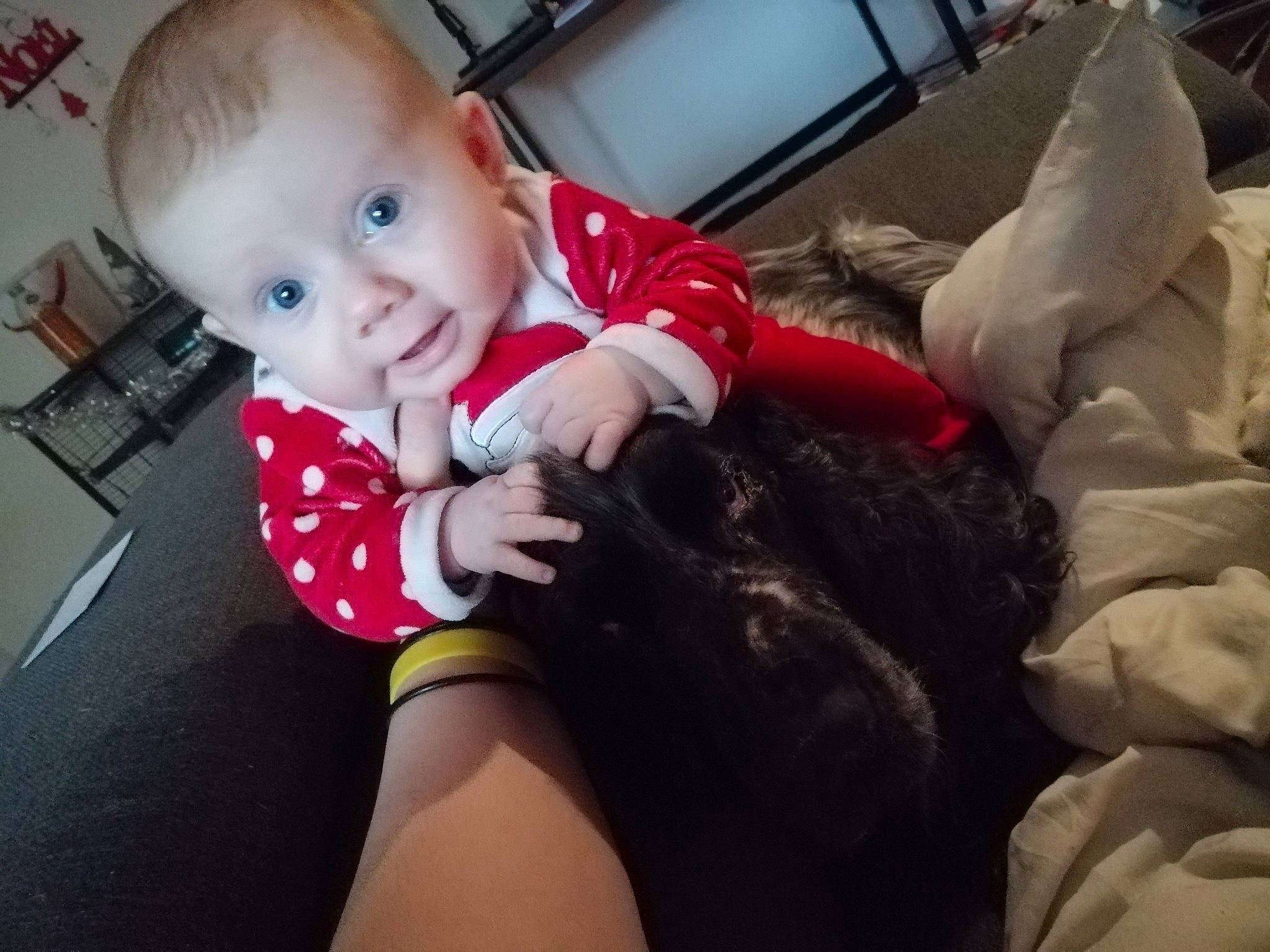 Luna a rejoint le concours — aidez-le/la à gagner de superbes lots ! baby, baby_toddler_clothing, child, christmas, comfort, couch, finger, fun, happy, human_leg, iris, knee, lap, leg, living_room, mouth, person, skin, sock, thigh