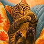 animal, autumn, blanket, blue, cat, closeup, cozy, cute, fur, indoor, leaves, orange, paws, pet, relaxed, resting, sleepy, tabby, warm, yellow