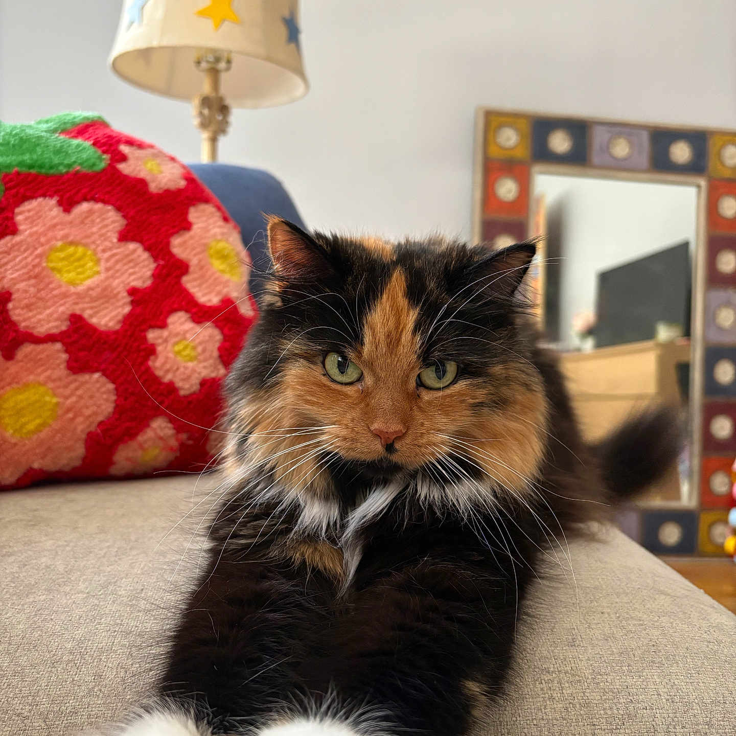 Pelusa joined the competition — help win amazing prizes! calico_cat, cat, colorful_frame, couch, cozy, flower_pattern, fluffy, furniture, green_eyes, home_decor, indoor, lamp, mirror, paws, pet, pillow, relaxed, star_decorations, stretching, whiskers