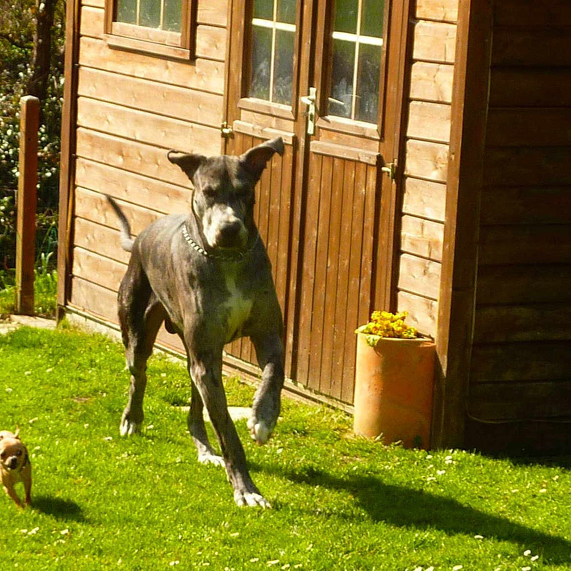 Farouk participe au concours pour gagner de l'argent avec cette photo :