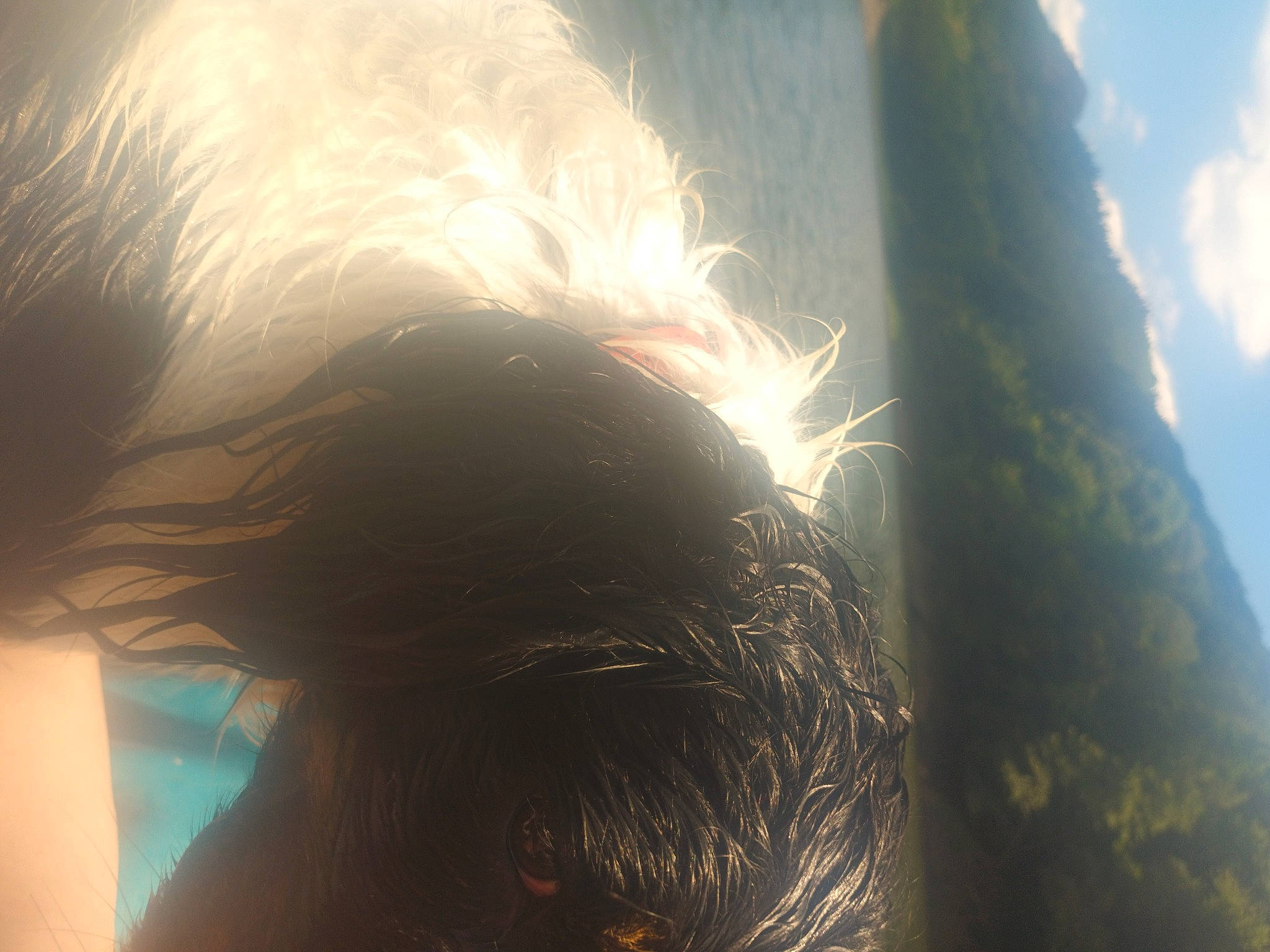 Pinky participe au concours pour gagner de l'argent avec cette photo : astronomical_object, backlighting, beard, close_up, cloud, darkness, eyewear, facial_hair, fur, grass, heat, human_body, jaw, lens_flare, long_hair, selfie, sky, sunglasses, tail, tree