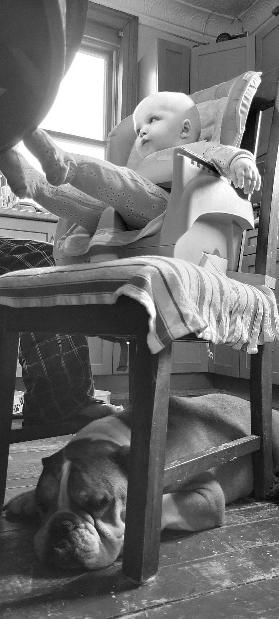 Haley is registered to the contest to win money with this photo: black, black_and_white, carnivore, comfort, dog, elbow, happy, human, human_leg, knee, monochrome, monochrome_photography, people, person, photograph, shorts, sitting, snapshot, standing, style