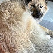 Suki a rejoint le concours — aidez-le/la à gagner de superbes lots !