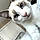 Mr. Whiskers