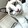Mr. Whiskers