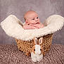 baby, basket, plush_bunny, fluffy_blanket, studio, portrait, child, infant, soft_texture, cute, animal_toy, floor_rug, cozy, head, face, looking_away, background, sitting, indoors, warm