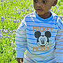 child, boy, outdoor, field, grass, flowers, purple_flowers, striped_clothing, mickey_mouse, cartoon_character, sunlight, nature, portrait, casual_wear, young_child, greenery, daylight, person, standing, curious