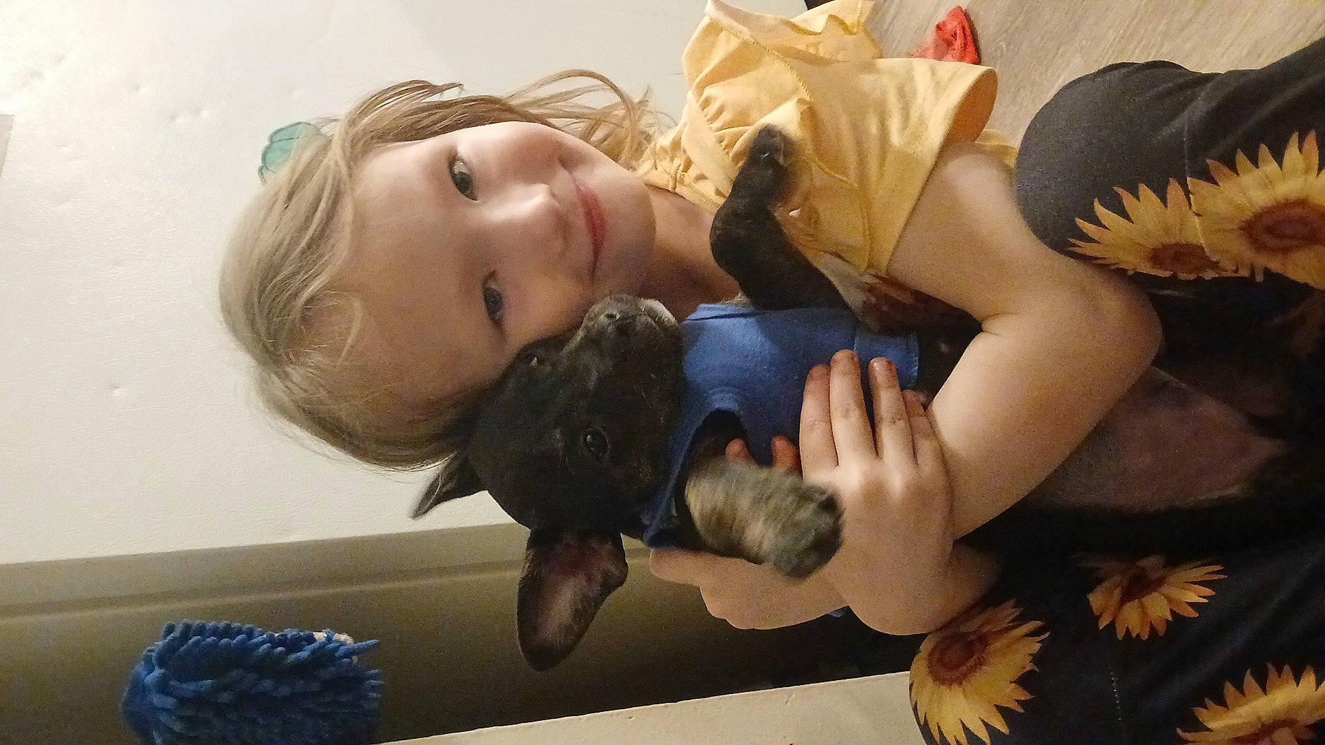 Nevaeh joined the competition — help win amazing prizes! animal, baby, bodypart, bulldog, canine, chihuahua, couch, dog, face, finger, frenchbulldog, furniture, hand, head, hound, person, pet, photography, portrait, puppy