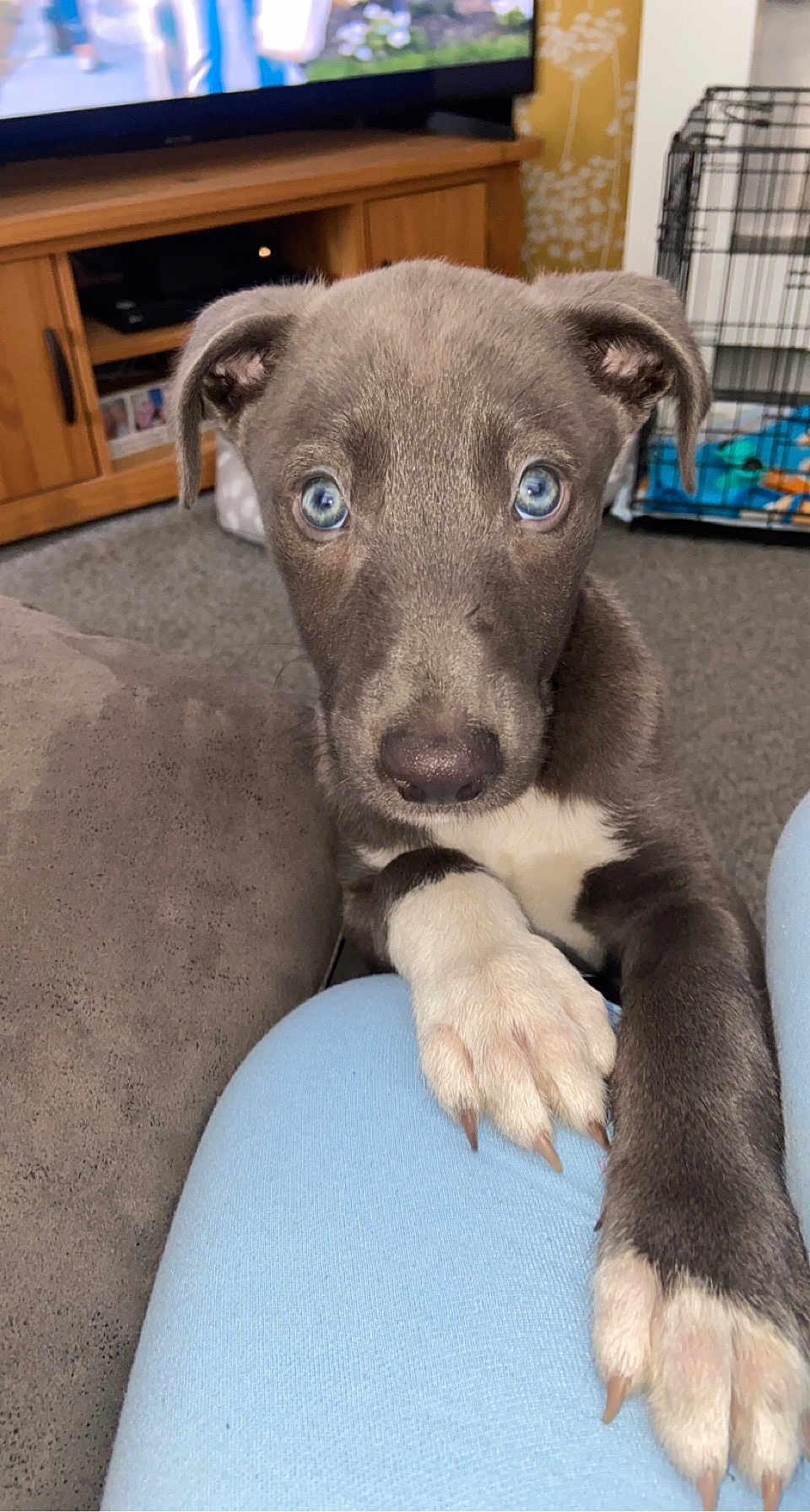 Reggie