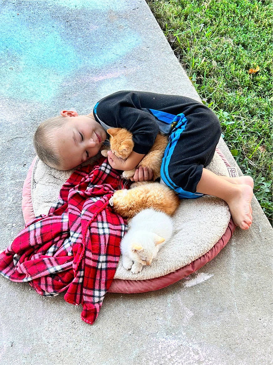 Jordan is registered to the contest to win money with this photo: child, comfort, event, fun, grass, happy, human, human_leg, leg, leisure, mammal, people_in_nature, person, plaid, plant, tartan, thigh, toddler, toy, tree