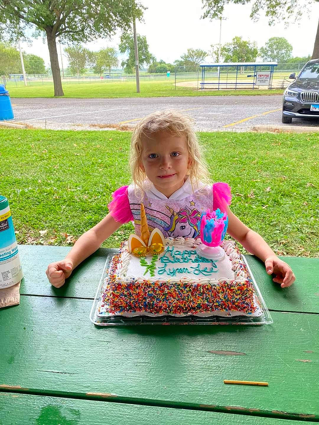 Lynnlee is registered to the contest to win money with this photo: cake, cake_decorating_supply, car, child, event, food, fun, grass, green, joy, leisure, person, pink, plant, recreation, sugar_cake, summer, table, tire, toddler