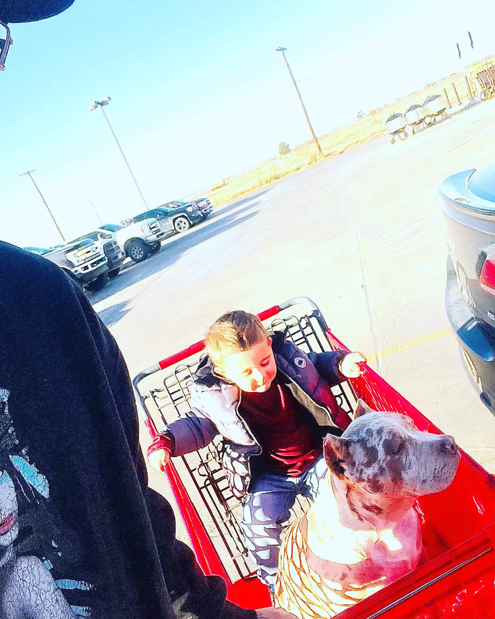 Khaleesi is registered to the contest to win money with this photo: asphalt, automotive_design, automotive_exterior, automotive_lighting, automotive_tire, automotive_wheel_system, bumper, car, family_car, fun, leisure, luxury_vehicle, motor_vehicle, public_space, recreation, sky, t_shirt, travel, vehicle, vehicle_door