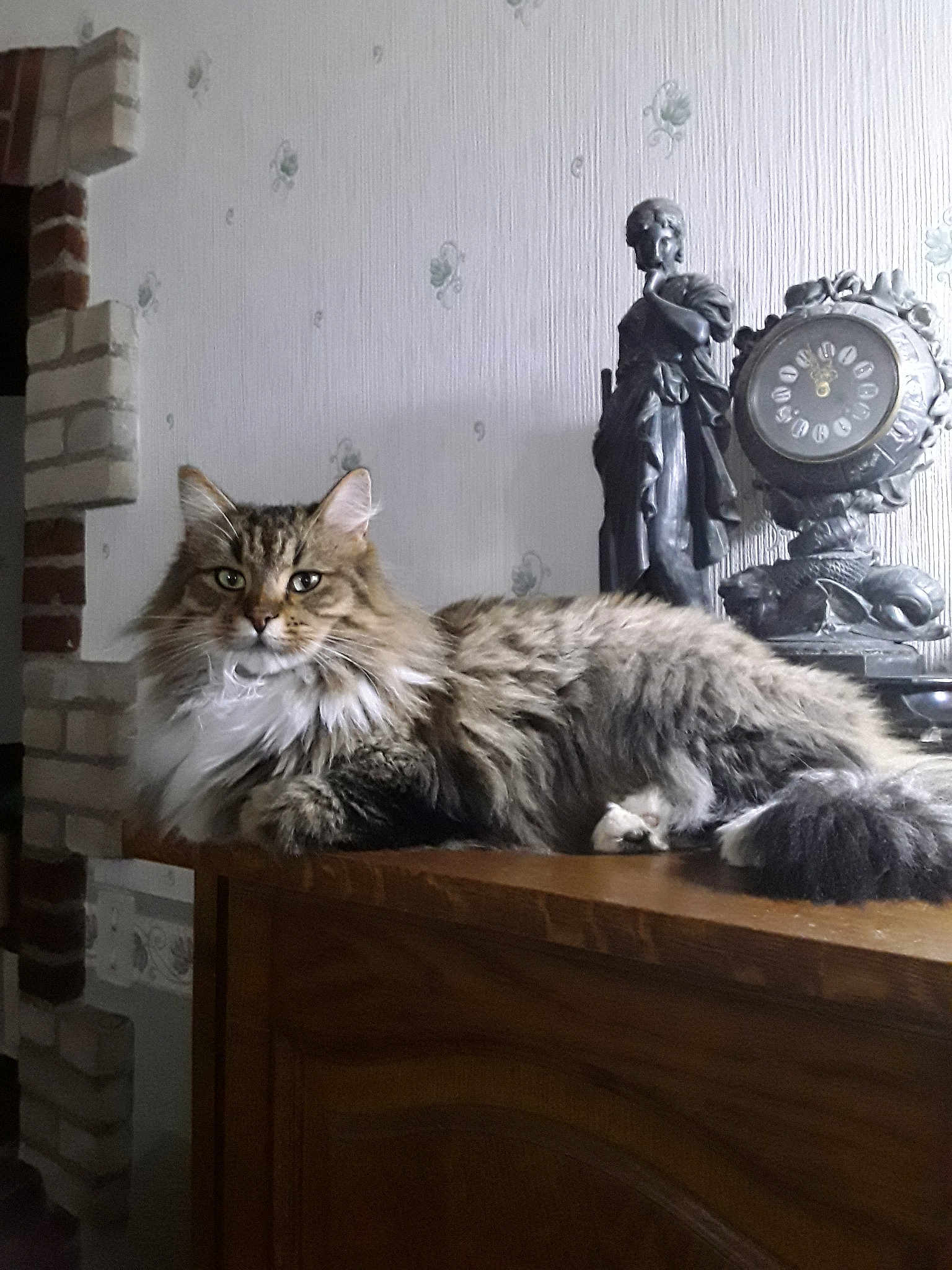 Nina