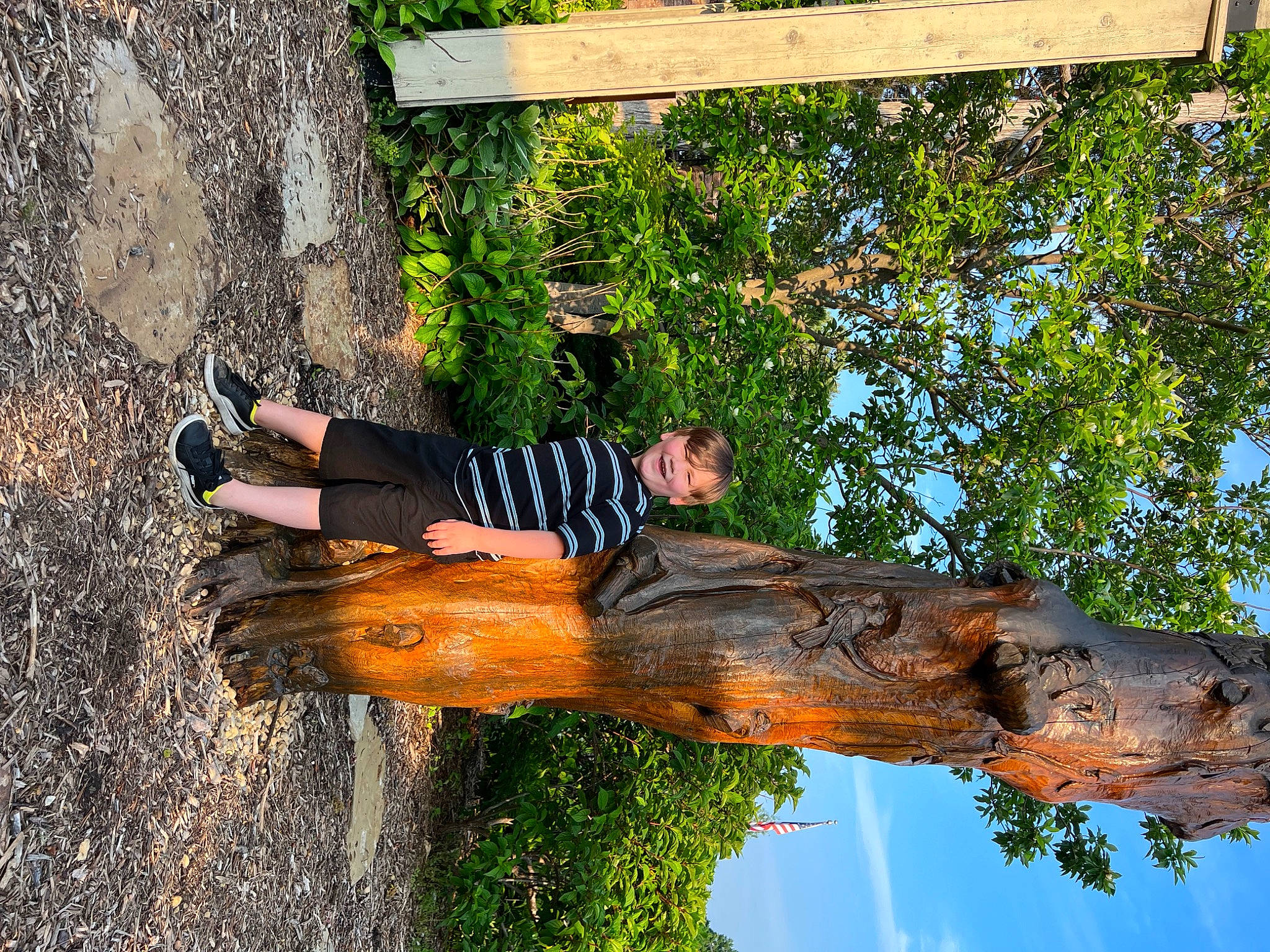 Brandon joined the competition — help win amazing prizes! branch, cloud, fun, grass, hat, joy, landscape, leaf, leisure, people_in_nature, person, plant, shadow, sky, spring, tree, trunk, twig, wood