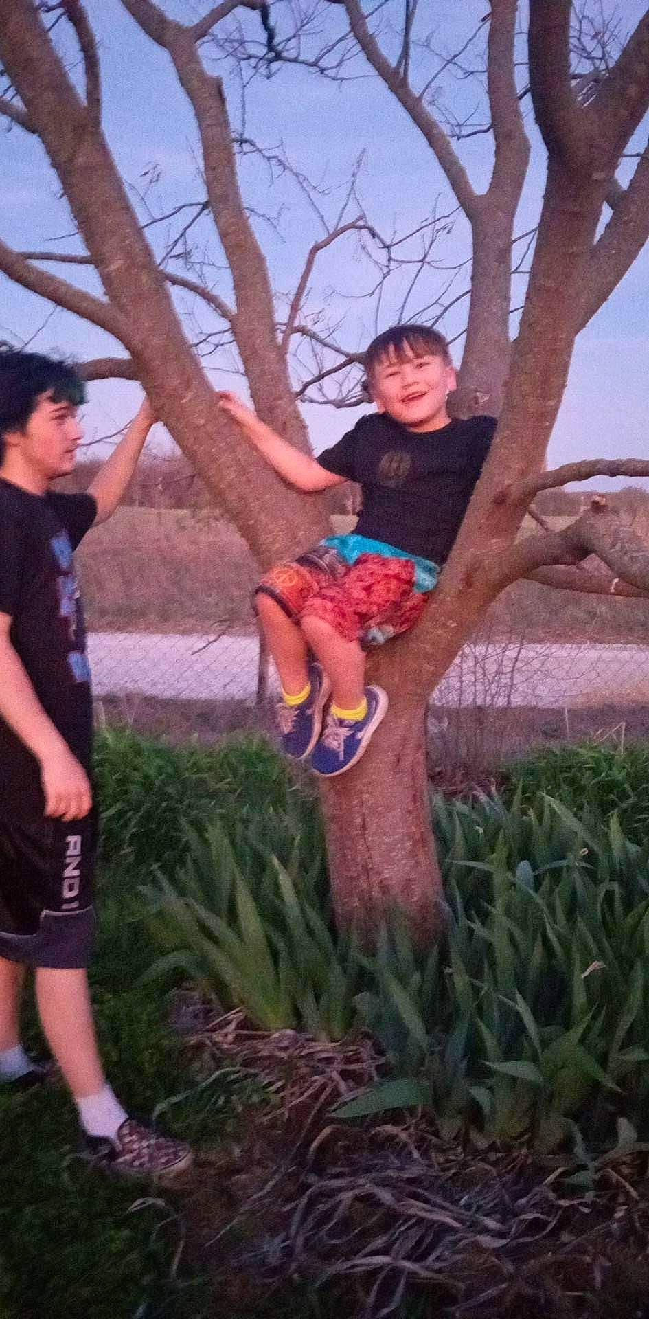 Brandon is registered to the contest to win money with this photo: botany, fun, gesture, grass, happy, joy, landscape, leg, leisure, people_in_nature, person, plant, recreation, shorts, sky, sneakers, soil, t_shirt, terrestrial_plant, tree