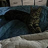 cat, tabby_cat, blanket, furniture, drawer, indoor, pet, resting, cozy, soft_texture, striped, animal, sleepy, bedroom, domestic_cat, cute, feline, relaxed, warm, quiet