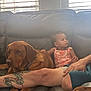 baby, dog, couch, leather, tattoo, arm, leg, window, blinds, indoor, person, child, pet, animal, furniture, relaxing, home, casual, sitting, watermelon_outfit