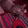 cat, jigsaw_puzzle, colorful, striped, pet, animal, webpage, product, text, store, shopping, fluffy, puzzle_pieces, feline, home_decor, red, multicolor, pattern, laying, soft