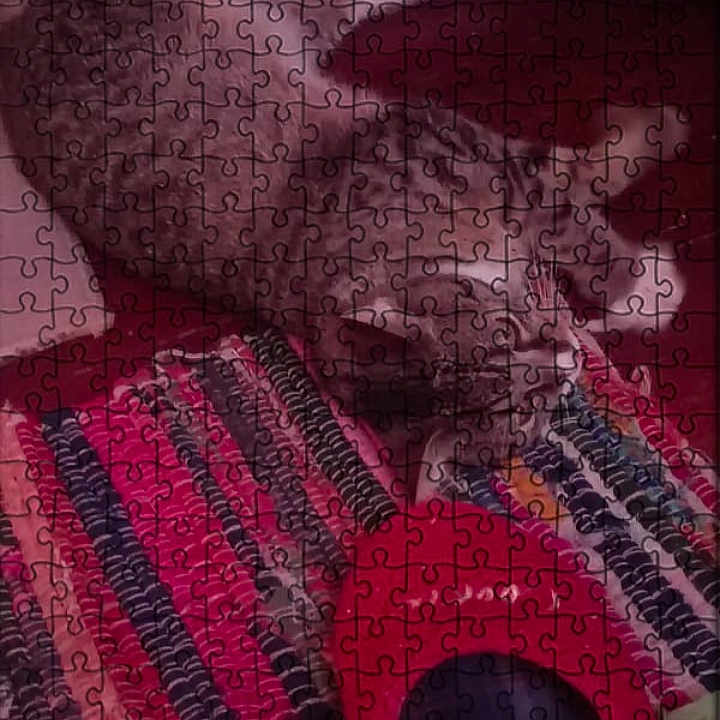 Fluffy is registered to the contest to win money with this photo: cat, jigsaw_puzzle, colorful, striped, pet, animal, webpage, product, text, store, shopping, fluffy, puzzle_pieces, feline, home_decor, red, multicolor, pattern, laying, soft
