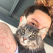 Mufasa is registered to the contest to win money with this photo: animal, cat, close_up, companion, face, fluffy, golden_eyes, gray_cat, indoors, kitten, long_hair, person, pet, portrait, selfie, shoulder, tattoo, whiskers, woman, wooden_ceiling