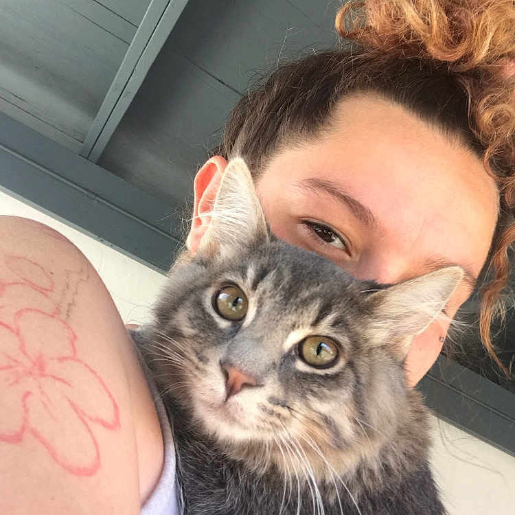 Mufasa