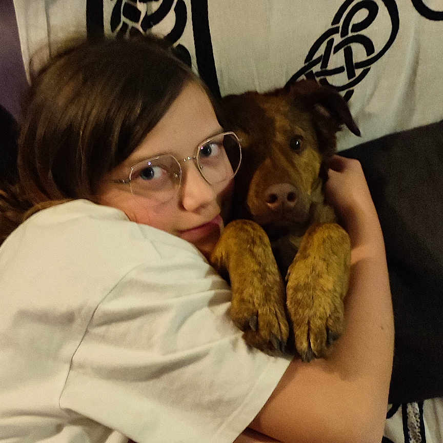 Blue a rejoint le concours — aidez-le/la à gagner de superbes lots ! accessories, adult, animal, canine, couch, cushion, dog, face, female, furniture, glasses, head, homedecor, hound, person, pet, photography, portrait, puppy, woman