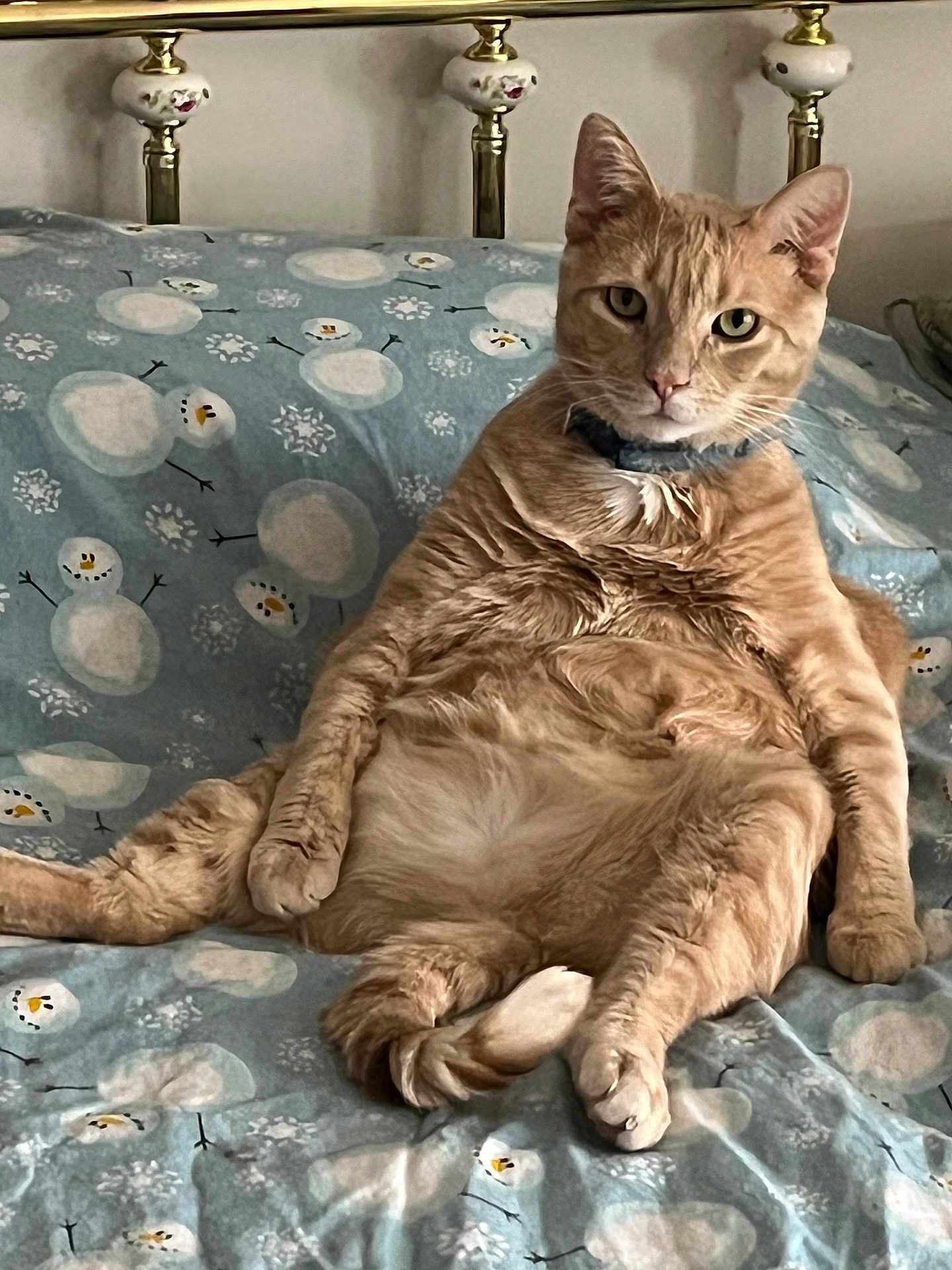 Nugget
