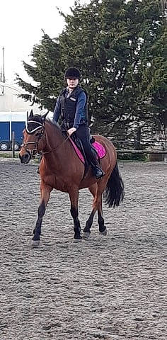 Shérazade participe au concours pour gagner de l'argent avec cette photo : animal_sports, bridle, english_riding, equestrian, equestrian_helmet, equestrian_sport, equestrianism, equitation, halter, headwear, horse, horse_supplies, horse_tack, mammal, mane, outdoor_recreation, person, recreation, rein, saddle